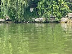 -济南大明湖景区