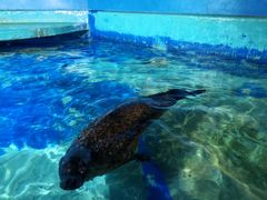 -太平洋海底世界