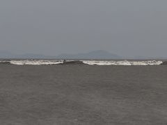 -观潮胜地公园