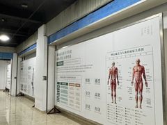 -通透堂中医·精准推拿(旗舰店)