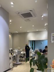 -洗脸猫·洗脸吧