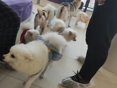 -怪兽屋·羊驼·猫咖·狗咖(俊华广场店)