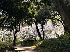 -南山植物园