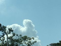 -% Arabica阿拉比卡咖啡(深圳湾万象城店)