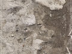 -碧海金沙