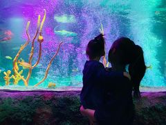 -沈阳海洋探索中心