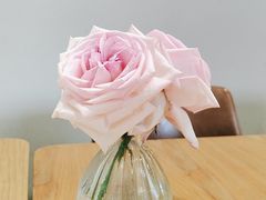 -FreshCo鲜途·西厨(大良店)