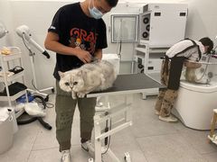 -comecome来吧宠物(奥克斯中心店)