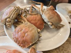 -银帆宾馆-自助餐厅(金马路店)