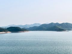 -望湖烤鱼