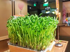 -海底捞火锅(方塔东街店)