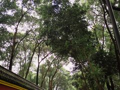 -宝光寺
