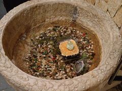 -情满四合院•京菜•烤鸭(动物园店)