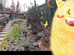 -三圣花乡旅游区