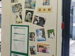 -爱妮康宠物医院·干细胞免疫细胞·肿瘤·心脏(张江店)