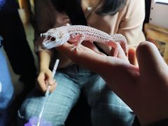 -昆明大悦城未来动物城(螺蛳湾中心店)
