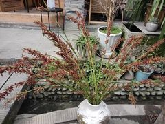 -海窝子古镇