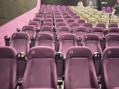 -中影嘉华国际影城(大芬星都里店)