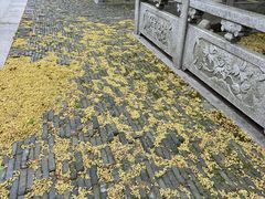 -上海青龙寺