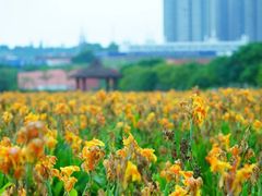 -那考河湿地公园
