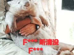 -可伦宾野生动物保护区
