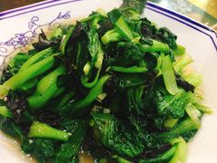 石耳菜心-徽州美食(三十年老店)