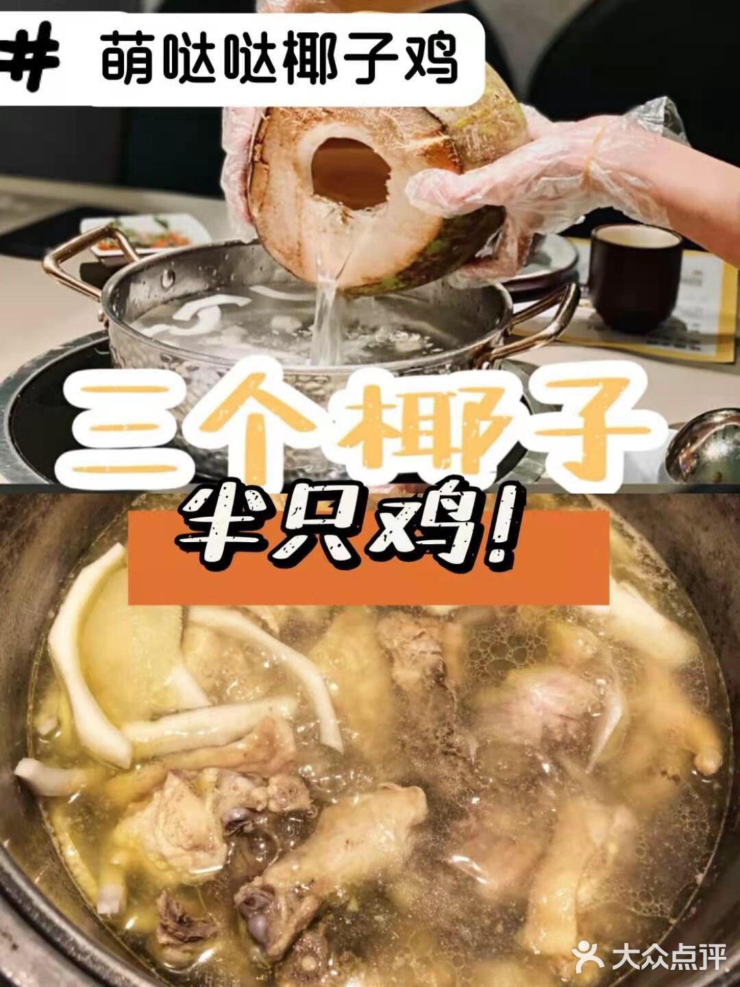 三亚小众景点-南湾猴岛！