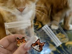 -平行世界·猫咖(首经贸店)
