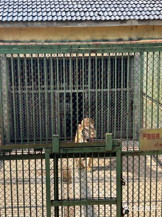 合肥野生动物园图片