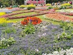 -深圳仙湖植物园