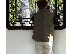 -上海醉白池公园