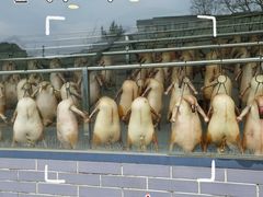 -粥旺庄(芳村店)