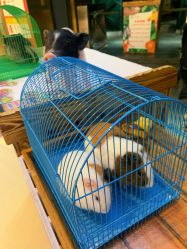 -未来动物城主题公园(正弘城店)