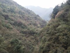 -山沟沟景区