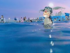 -汕头中海黄金海岸水上乐园