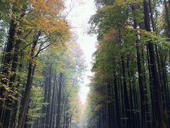 -山王坪喀斯特国家生态公园