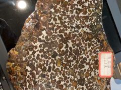 -志强陨石馆(双季花艺店)