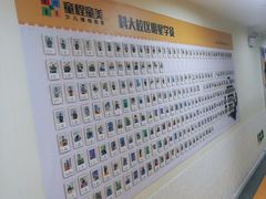 -童程童美信奥赛科技特长·乐高编程科创机器人(科大校区)