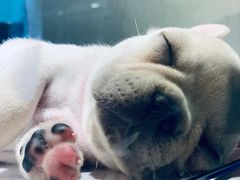 -乐宠宠物店(世纪金源店)