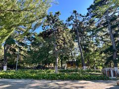 -长春市南湖公园