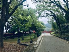 -福清灵石山国家森林公园