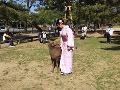 -京都和服体验 梦馆(五条店)