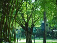 -晓港公园