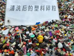 -深圳人才公园