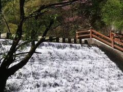 -少华山国家森林公园
