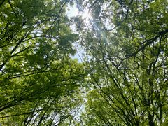 -山东师范大学(千佛山校区)