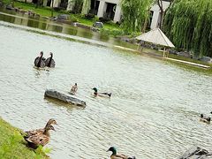 崇明度假游-上海怡沁园度假酒店