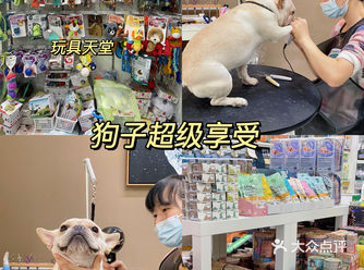 成华区最大宠物店穿搭博主的狗也要洋气