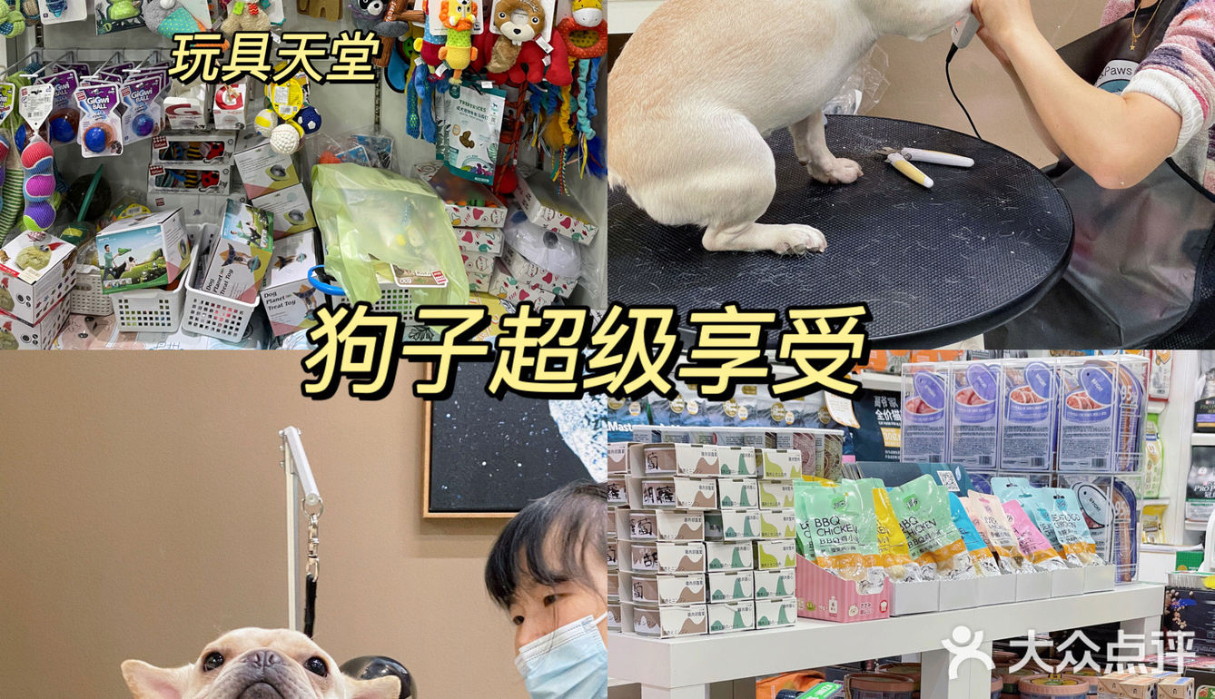 成华区最大宠物店🐾穿搭博主的狗也要洋气
