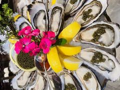 -普朗姆生蚝牛排馆 The Plump Oyster(成都摩方购物中心店)